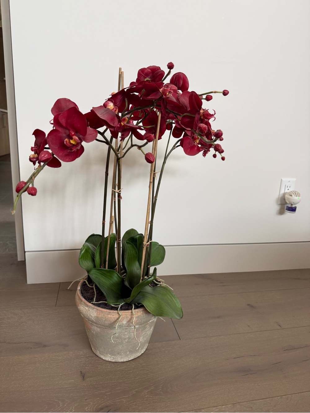 Pier 1 Deep Red Faux Orchid Arrangement
